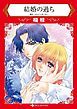 『結婚の過ち【分冊】』の表紙