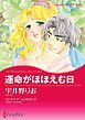 『運命がほほえむ日【分冊】』の表紙