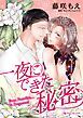 『一夜にできた秘密【分冊】』の表紙