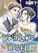 『シンデレラを演じる十日間【分冊】』の表紙