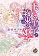 『眠れる王子と約束の姫（全年齢版）』の表紙