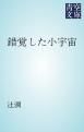 『錯覚した小宇宙』の表紙