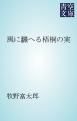 『風に飜へる梧桐の実』の表紙
