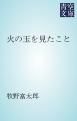 『火の玉を見たこと』の表紙