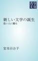 『新しい文学の誕生』の表紙
