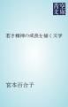 『若き精神の成長を描く文学』の表紙