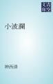 『小波瀾』の表紙