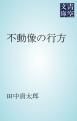 『不動像の行方』の表紙