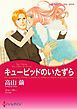 『キューピッドのいたずら〈パーソナル・タッチ! II〉【分冊】』の表紙