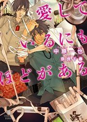 『愛しているにもほどがある』の表紙