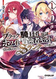 『ブラックな騎士団の奴隷がホワイトな冒険者ギルドに引き抜かれてSランクになりました』の表紙