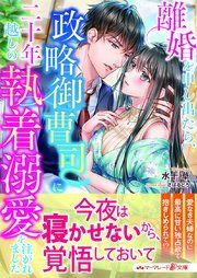 『離婚を申し出たら、政略御曹司に二十年越しの執着溺愛を注がれました』の表紙