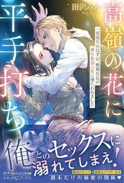 『高嶺の花に平手打ち 一夜限りのはずが、敏腕社長の淫らな独占愛に捕らわれました』の表紙