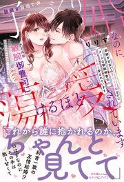 『跡継ぎ目当ての子づくり婚なのに、クールな敏腕御曹司に蕩けるほど愛されています』の表紙
