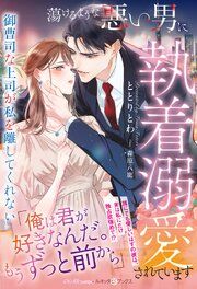 『蕩けるような悪い男に執着溺愛されています~御曹司な上司が私を離してくれない~』の表紙
