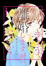 『きょう、離婚しますがなにか?』の表紙