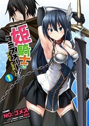 『姫騎士がクラスメート！ THE COMIC』の表紙