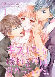 『キスしたら壊れるのは分かっていた。』の表紙
