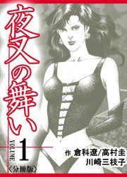 『夜叉の舞い【分冊版】』の表紙