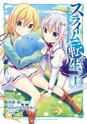 『スライム転生。大賢者が養女エルフに抱きしめられてます』の表紙