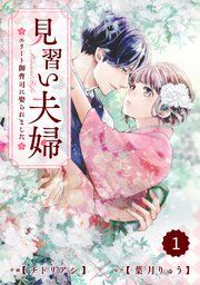 『comic Berry’s見習い夫婦~エリート御曹司に娶られました~』の表紙