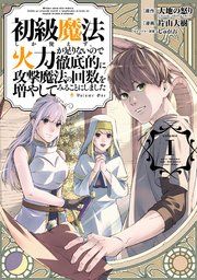 『初級魔法しか使えず、火力が足りないので徹底的に攻撃魔法の回数を増やしてみることにしました』の表紙