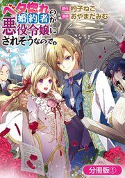 『ベタ惚れの婚約者が悪役令嬢にされそうなので。【分冊版】』の表紙