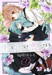 『キミと越えて恋になる』の表紙