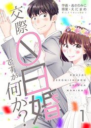 『交際0日婚ですが何か?』の表紙