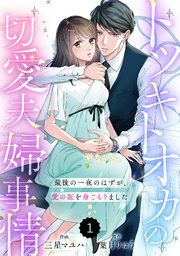 『comic Berry’sトツキトオカの切愛夫婦事情~最後の一夜のはずが、愛の証を身ごもりました~』の表紙