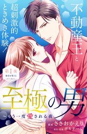 『至極の男〜もう一度愛される夜［comic tint］ 分冊版』の表紙