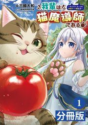 『我輩は猫魔導師である~キジトラ・ルークの快適チート猫生活~【分冊版】』の表紙