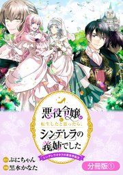 『悪役令嬢に転生したと思ったら、シンデレラの義姉でした 〜シンデレラオタクの異世界転生〜【分冊版】』の表紙