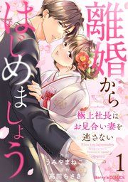 『離婚からはじめましょうー極上社長はお見合い妻を逃さないー』の表紙