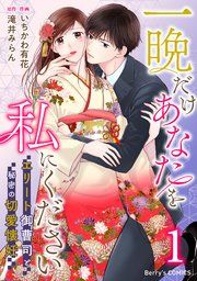 『一晩だけあなたを私にください〜エリート御曹司と秘密の切愛懐妊〜』の表紙