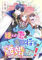 『嫌われ妻は、英雄将軍と離婚したい! いきなり帰ってきて溺愛なんて信じません。 【連載版】』の表紙