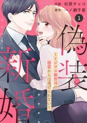 『comic Berry’s偽装新婚~イジワル御曹司の溺愛からは逃げられない~』の表紙