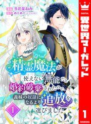『精霊魔法が使えない無能だと婚約破棄されたので、義妹の奴隷になるより追放を選びました』の表紙