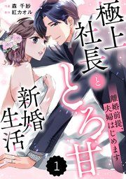 『comic Berry’s離婚前提、夫婦はじめます~極上社長ととろ甘新婚生活~』の表紙