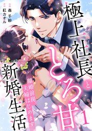 『離婚前提、夫婦はじめます〜極上社長ととろ甘新婚生活〜』の表紙