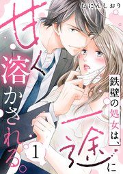 『鉄壁の処女は、一途に甘く溶かされる。』の表紙