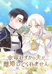 『余命わずかの夫が離婚してくれません』の表紙