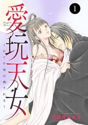『愛玩天女~かぐや姫は穢される~』の表紙