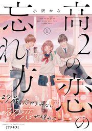 『高2の恋の忘れ方 プチキス』の表紙