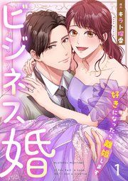 『ビジネス婚ー好きになったら離婚しますー』の表紙