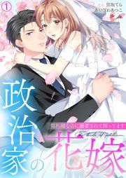 『政治家の花嫁～契約婚なのに溺愛されて困ってます～』の表紙