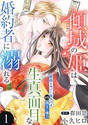 『傾城の姫は生真面目な婚約者に溺れる』の表紙