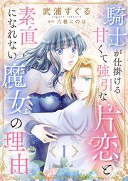 『騎士が仕掛ける甘くて強引な片恋と素直になれない魔女の理由』の表紙