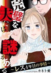 『完璧な夫には謎がある〜レス4年目の事情〜』の表紙