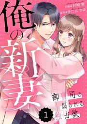 『comic Berry’s俺の新妻~御曹司の煽られる独占欲~』の表紙